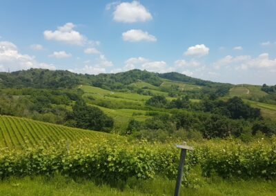 20180524_131048